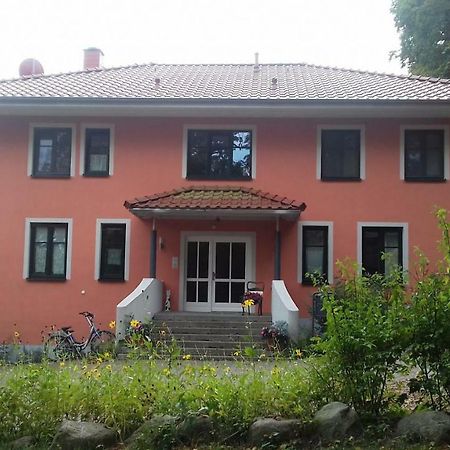 Fewo 1 Waren Mueritz - Haus Buchen Am Tiefwarensee - 1 Zi Eksteriør billede