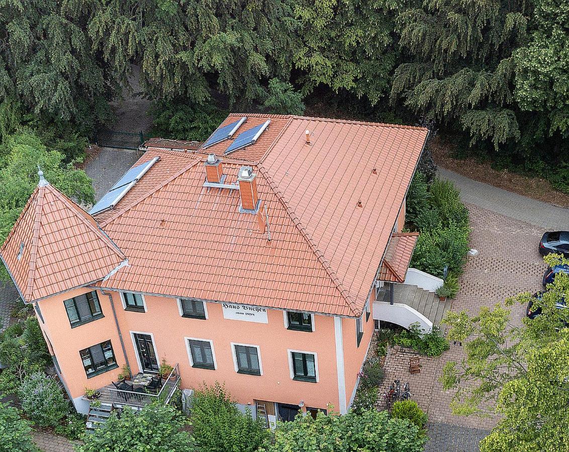 Fewo 1 Waren Mueritz - Haus Buchen Am Tiefwarensee - 1 Zi Eksteriør billede